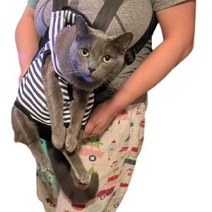 Striped small pet carrier NWT